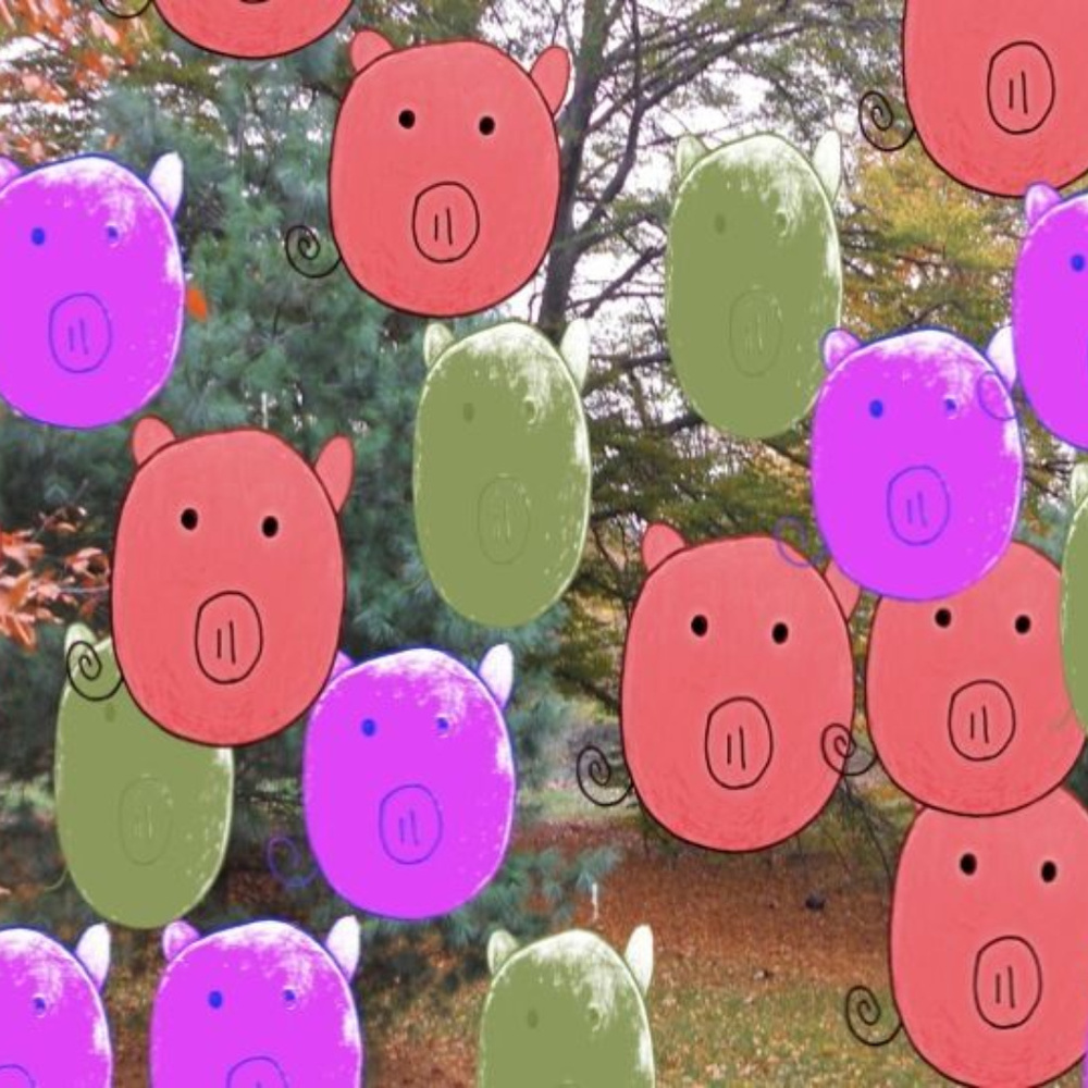 Meet your Posher, Gladys